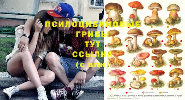 спиды Абинск