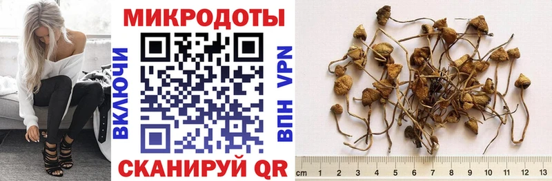 Галлюциногенные грибы ЛСД  Таганрог 